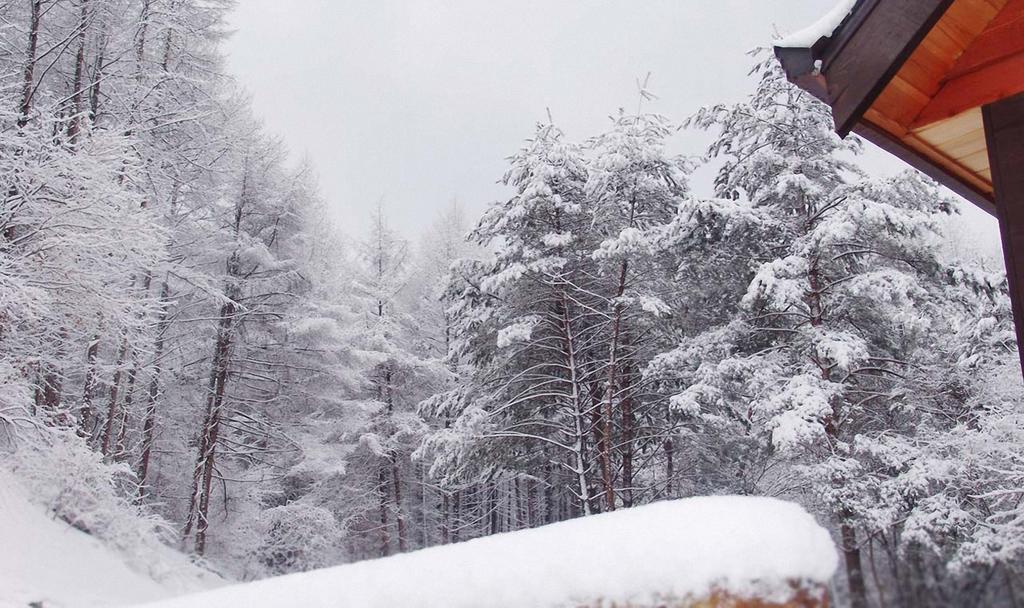 Sisilli Pension 平昌郡 エクステリア 写真